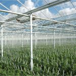 Increase growth & global competitiveness with sustainability
